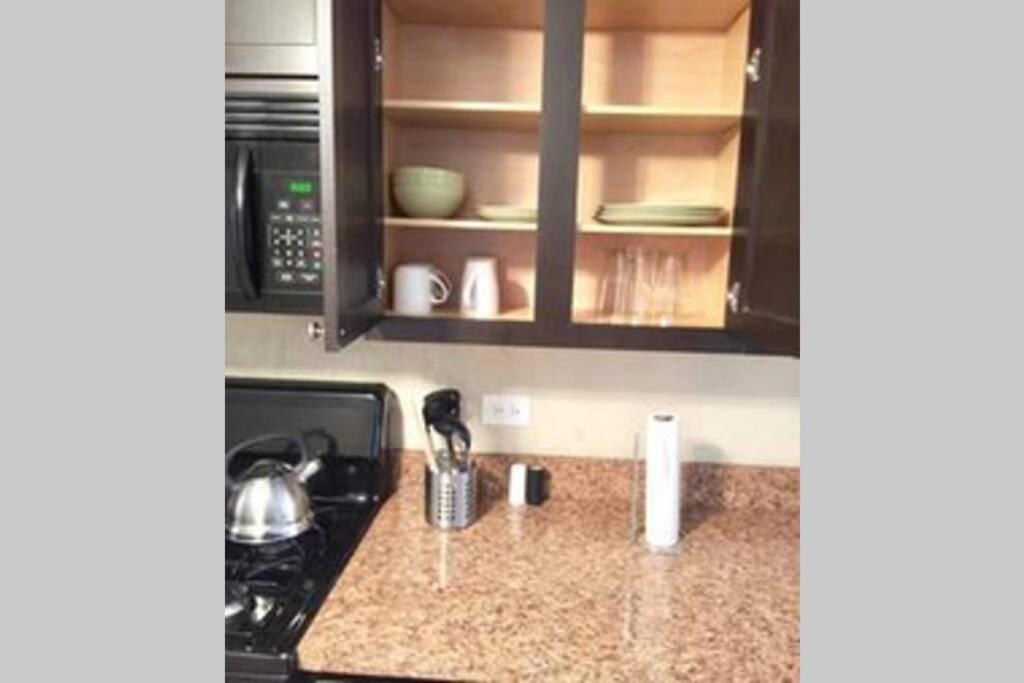 Entire Modern 2 Bedroom Apartment Chicago Zewnętrze zdjęcie